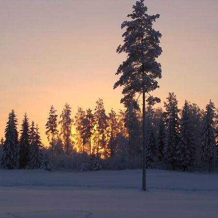 Villa Tiirinkallio Nilsiä Szoba fotó