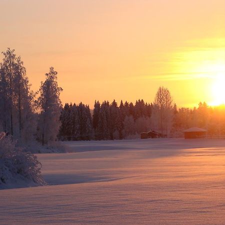 Villa Tiirinkallio Nilsiä Kültér fotó