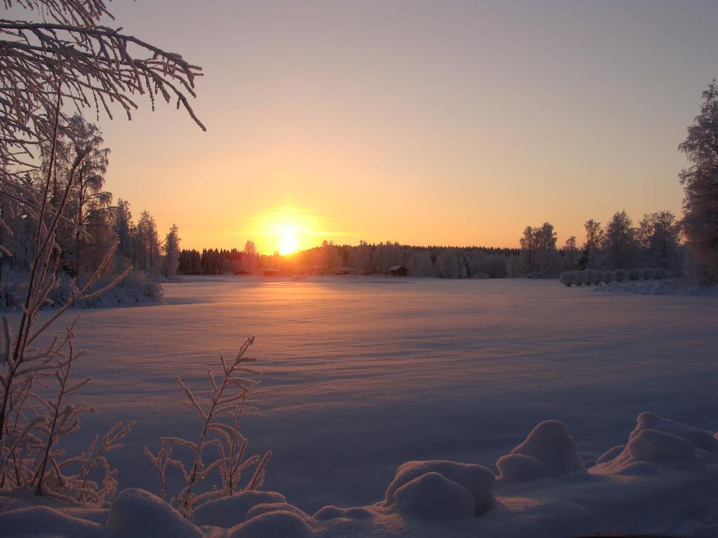 Villa Tiirinkallio Nilsiä Szoba fotó