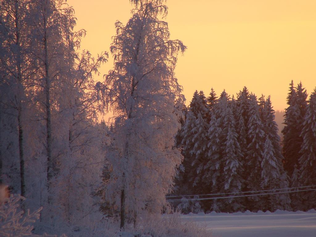 Villa Tiirinkallio Nilsiä Szoba fotó