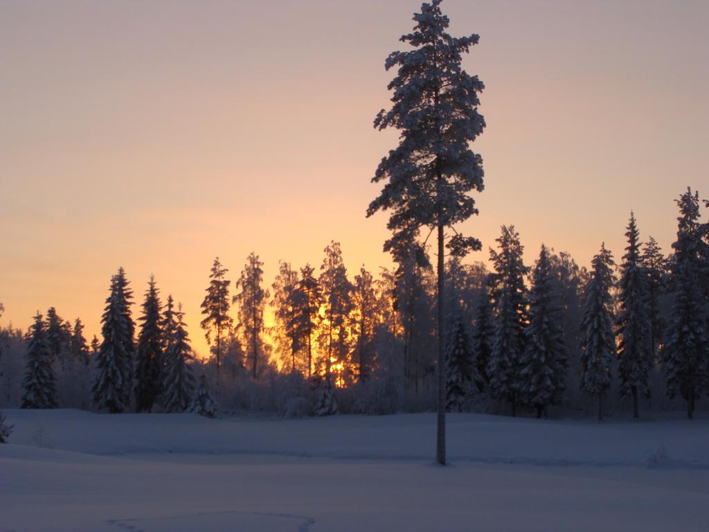 Villa Tiirinkallio Nilsiä Szoba fotó