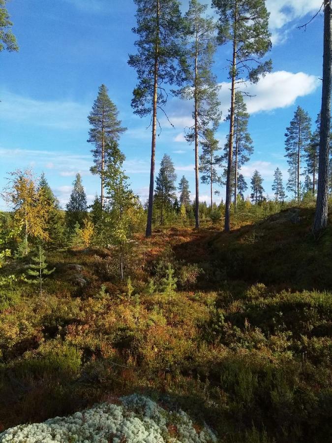 Villa Tiirinkallio Nilsiä Kültér fotó