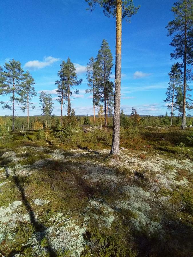 Villa Tiirinkallio Nilsiä Kültér fotó
