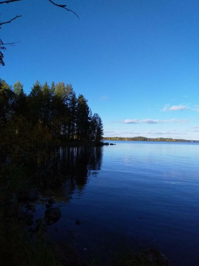Villa Tiirinkallio Nilsiä Kültér fotó