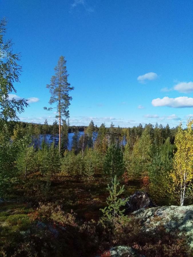 Villa Tiirinkallio Nilsiä Kültér fotó