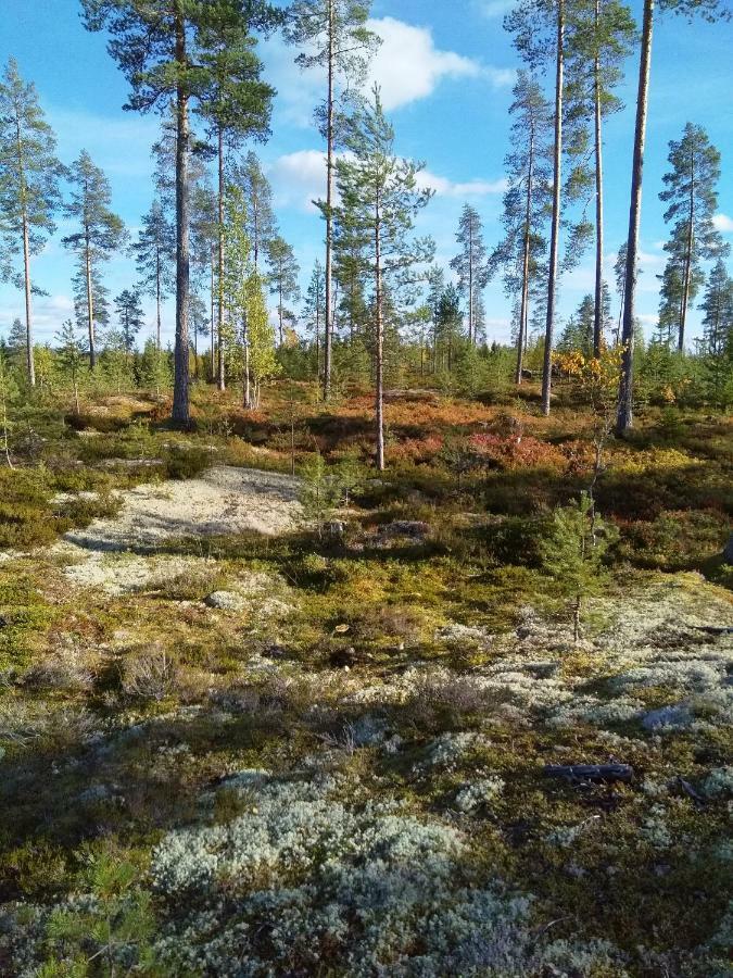 Villa Tiirinkallio Nilsiä Kültér fotó