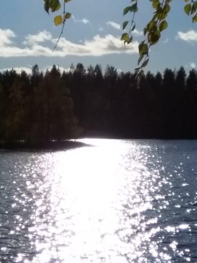 Villa Tiirinkallio Nilsiä Kültér fotó